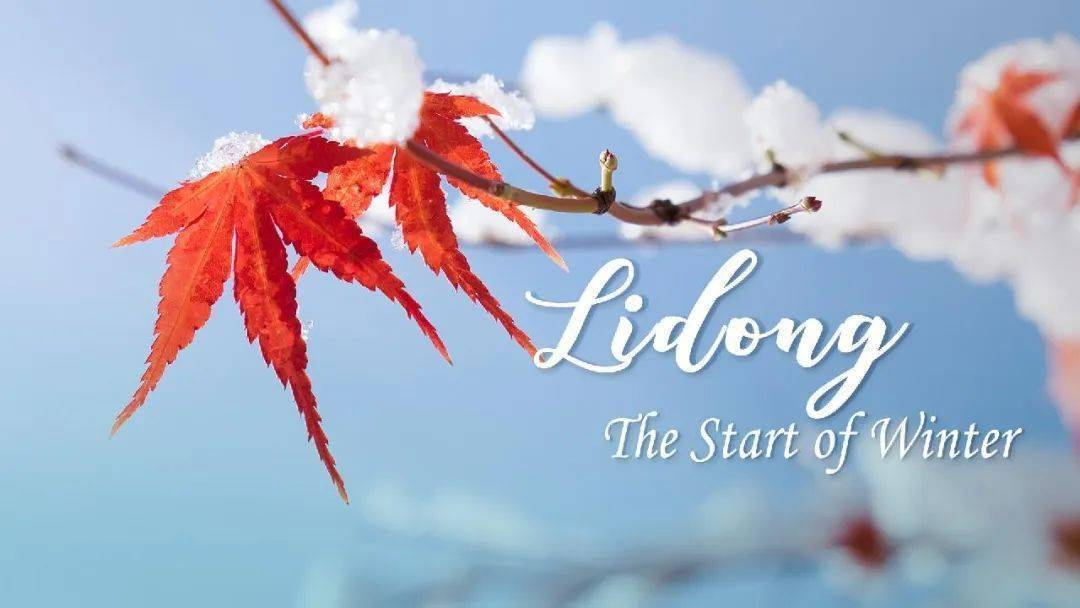 冬の始まり: 休息と反省の季節